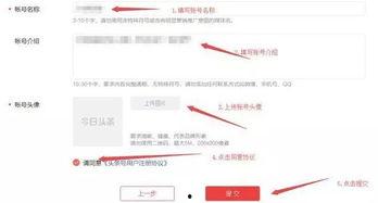 如何在头条号上挣钱,揭秘如何轻松实现收益最大化